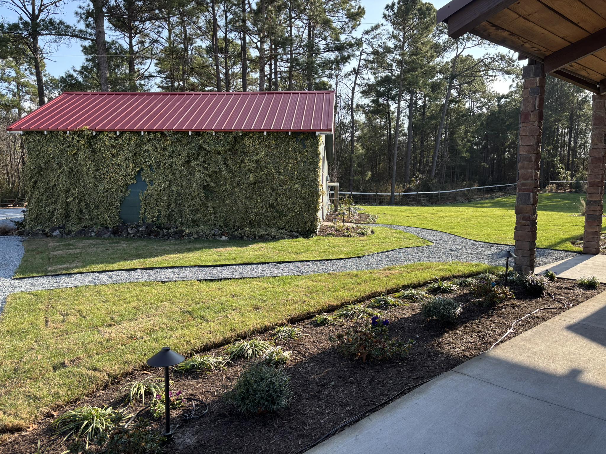 Ivy shed with red roof