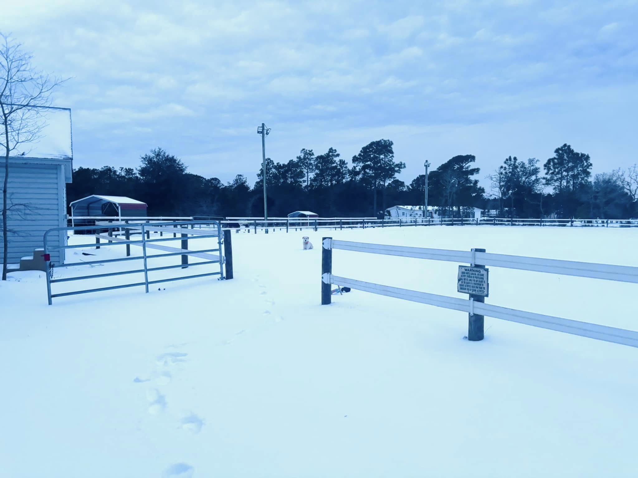 Wide snowy field